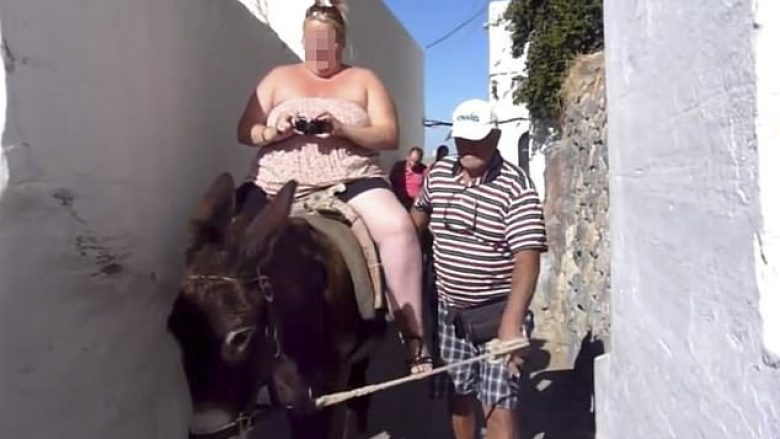 Turistëve me mbipeshë iu ndalohet të lëvizin me gomarë nëpër Santorini (Foto)