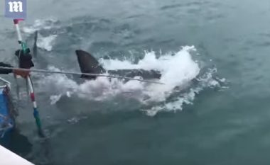 E kapi peshkaqenin me grep, por i doli punë ta largojë nga barka (Video)