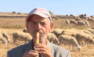 Bubaveci, fshati që ka mbi njëmijë kafshë shtëpiake (Video)