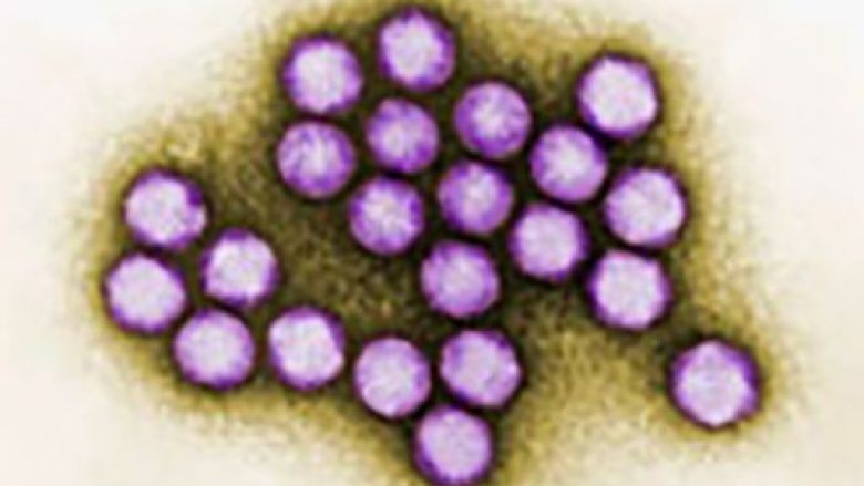Gjashtë fëmijë vdesin nga shpërthimi i papritur i një virusi në New Jersey