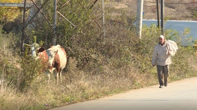 Fshati i vjetër i Ferizajt, vendbanimi multikulturor ku të gjithë banorët janë të ardhur (Video)