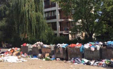 Nurboja thotë se mbeturinat kanë mbuluar Pejën (Foto)