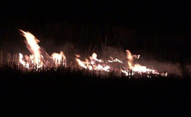 Po vazhdon tradita e keqe e djegies së hamulloreve në arat e Kosovës