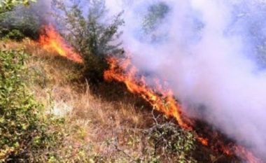 Institucionet e Maqedonisë së Veriut japin rekomandime për parandalimin dhe përballjen me zjarret
