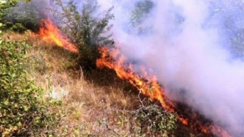 Përfshihet nga zjarri mali, pronë e shtetit