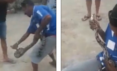 Po mundohej t’i argëtonte miqtë me gjarprin që e mbante rreth qafës, burri e pëson keq kur e kafshon në fytyrë (Video, +18)