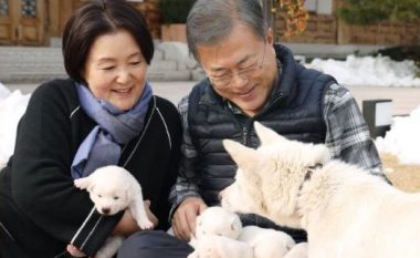 Moon Jae-in prezanton këlyshët e qenit të paqes, dhuruar nga Kim Jong-un (Foto)