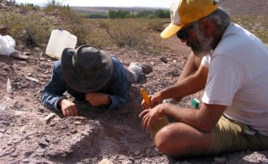 Mbetjet e dinozaurëve në Argjentinë befasojnë shkencëtarët – sepse kafka është e ruajtur tërësisht