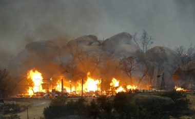 Kamenicë, i djegin 60 ari me pemë të mbjellura dhe 60 ari mal