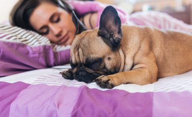 Femrat bëjnë gjumë më të mirë me qenin sesa me një person tjetër