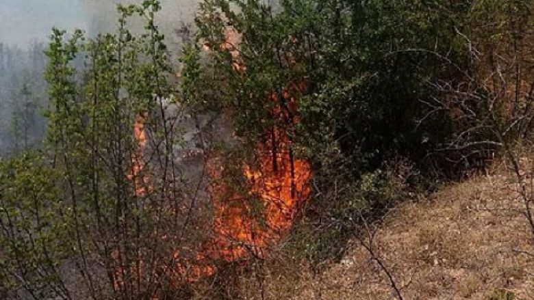 Digjen 10 hektarë pyje e kullosa në Tygjevc të Kamenicës