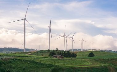 Ana errët e ‘fermave të erës’: Krahët e turbinave mbysin rreth 75 për qind të shpezëve në zonë (Foto)