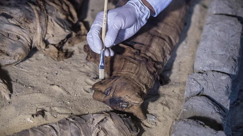 Arkeologët gjetën grumbullin e maceve dhe brumbujve të mumifikuar para 4,500 vitesh (Foto)