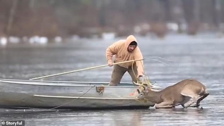 Gjuetari e shpëtoi drerin nga liqeni i ngrirë, dy ditë para se të fillonte sezoni i gjuetisë (Video)