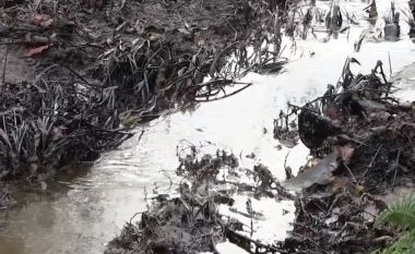 Nafta derdhet në lumë (Video)