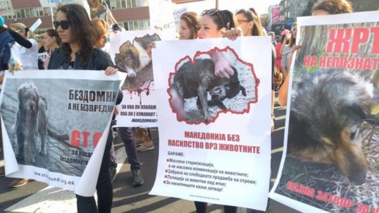 Në Shkup protestohet me moton “Ëndërroj për një të nesërme humane”