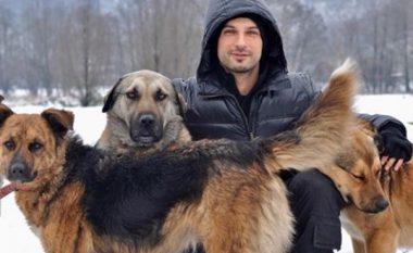 Temperatura e ulëta në Turqi, Tarkan bën apel për strehimin e qenve endacak