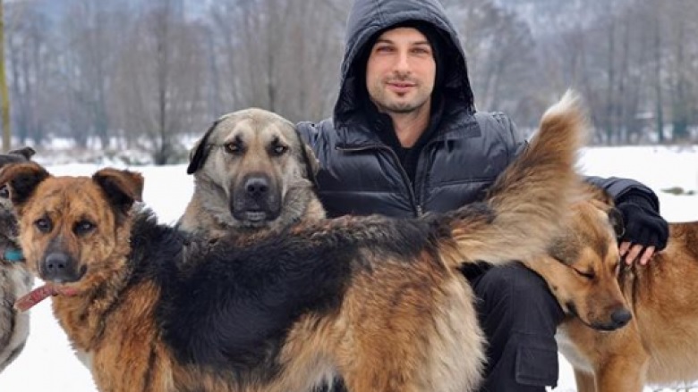 Temperatura e ulëta në Turqi, Tarkan bën apel për strehimin e qenve endacak