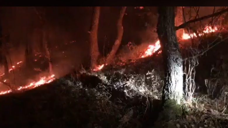 Aeroplanë po shuajnë zjarret në rrethinën e Kërçovës