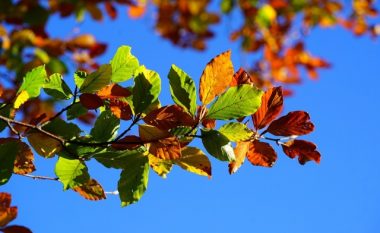 Nesër mot me diell, temperaturat deri në 18 gradë