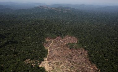 Shpyllëzohet Amazona, arrin nivelin më të lartë në dhjetë vite