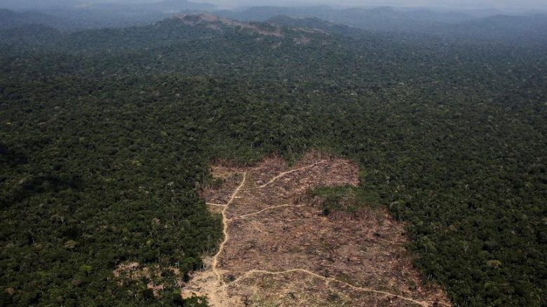 Shpyllëzohet Amazona, arrin nivelin më të lartë në dhjetë vite
