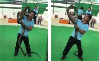 Po argëtonte masën me kobra, 35-vjeçari e pëson keq kur e kafshon në dorë (Video)