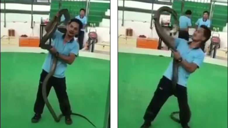 Po argëtonte masën me kobra, 35-vjeçari e pëson keq kur e kafshon në dorë (Video)