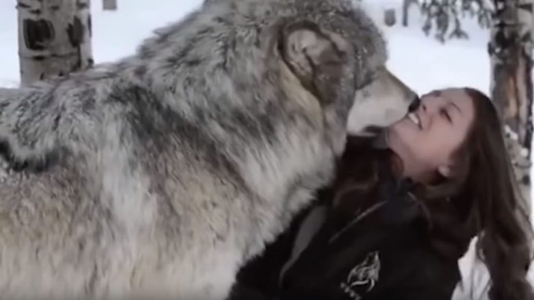 Sheh ujkun gjigant, vajza nuk heziton ta ledhatoj (Video)