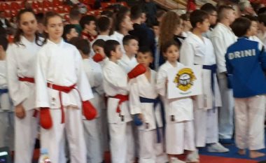 Klubi i Karatesë Prishtina me rezultate të mira në Kupën Pavarësia