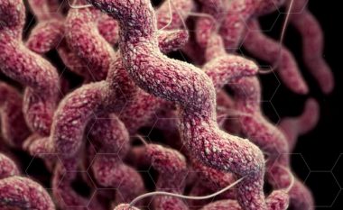 Rezistenca ndaj antibiotikëve mund t’i vret 10 milionë njerëz deri në vitin 2050
