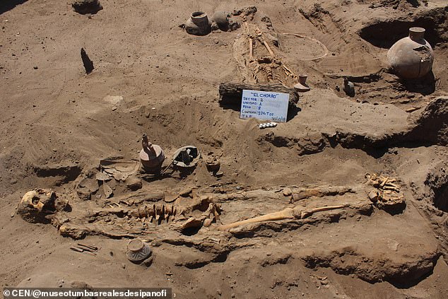 Arkeologët tregojnë arsyen e zymtë pse disa skeleteve të gjetur në Peru, iu mungonin shputat e këmbëve (Foto)