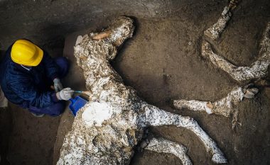 Arkeologët gjejnë një kalë të ruajtur mirë, të mbuluar nga hiri i vullkanit Vezuf (Foto)