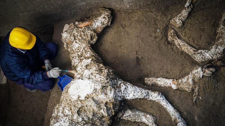 Arkeologët gjejnë një kalë të ruajtur mirë, të mbuluar nga hiri i vullkanit Vezuf (Foto)