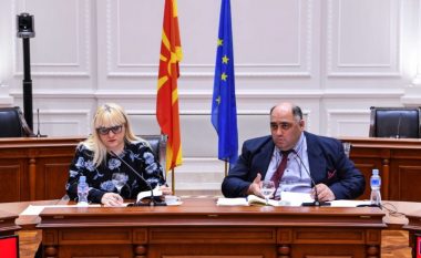 Seancë e Grupit bashkërendues ad-hoc për zhvillimin e konceptit të një shoqërie dhe ndërkulturalizmit në Maqedoni