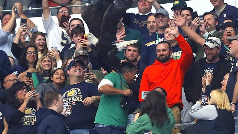 Shqiponja humb kontrollin gjatë një performance në stadium, përfundon në krahun e shikuesit (Video)