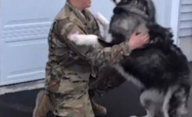 Takimi emocionues i qenit me pronarin e kthyer nga shërbimi ushtarak (Video)