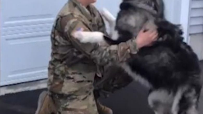 Takimi emocionues i qenit me pronarin e kthyer nga shërbimi ushtarak (Video)