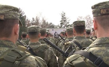 Ekonomistët thonë se buxheti i Kosovës është i mjaftueshëm për ushtrinë (Video)