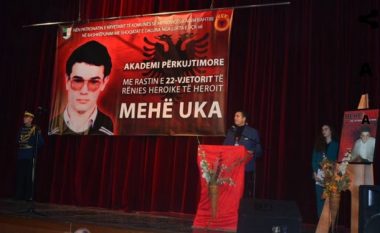 Dëshmorët nuk e dhanë jetën për ndarje të Mitrovicës