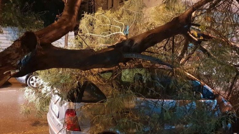 Stuhia në Tiranë, pema shkëputet e bie mbi veturën e parkuar