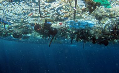 Ambientalistët ngrenë alarmin, plastika po rrezikon planetin