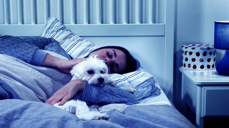 Për të fjetur mirë, femrat zgjedhin qenin si partner!