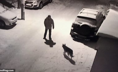 Shqelmon qenin pa kurrfarë arsye, rusi i dehur rrëshqet në borë dhe përplaset me fytyrë në veturën e parkuar (Video)