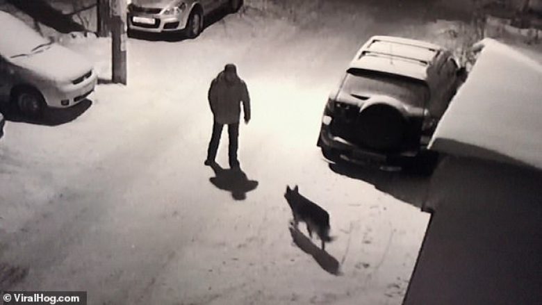 Shqelmon qenin pa kurrfarë arsye, rusi i dehur rrëshqet në borë dhe përplaset me fytyrë në veturën e parkuar (Video)