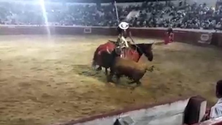 Demi i tërbuar mbyt kalin e toreadorit, policia detyrohet ta qëllojnë me armë për ta shmangur më të keqen (Video, +18)
