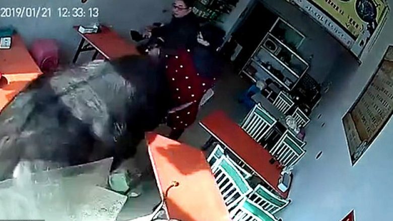 Demi i tërbuar ikën nga thertorja dhe futet në një restorant kinez, lëndon rëndë dy persona (Video, +18)
