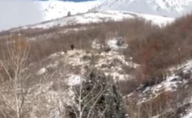 Është i bindur se ka filmuar në malet e Utah, “Këmbëmadhin” – publikon pamjet për të bindur të tjerët (Video)