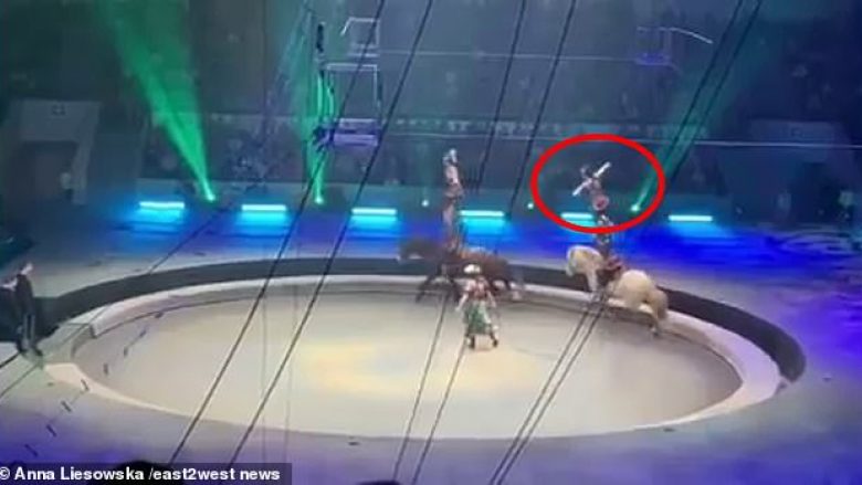 Gjatë shfaqjes në cirk, akrobati rus rrëzohet nga kali i cili më pas e shkel – shpëton me lëndime të lehta (Video, +16)