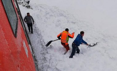 Pasojat e motit të ligë në Evropë, shoferi i trenit vëren diçka në borë – ndalet dhe shpëton dhinë e ngujuar (Video)